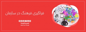 فراگیری فرهنگ در سازمان